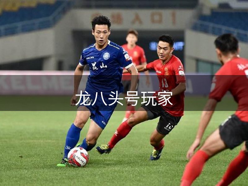 龙八头号玩家介绍